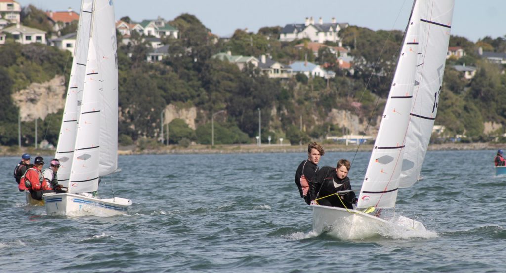 Studynz Obhs Primary 1