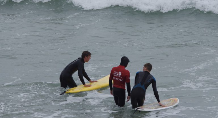 Studynz Obhs Primary 2