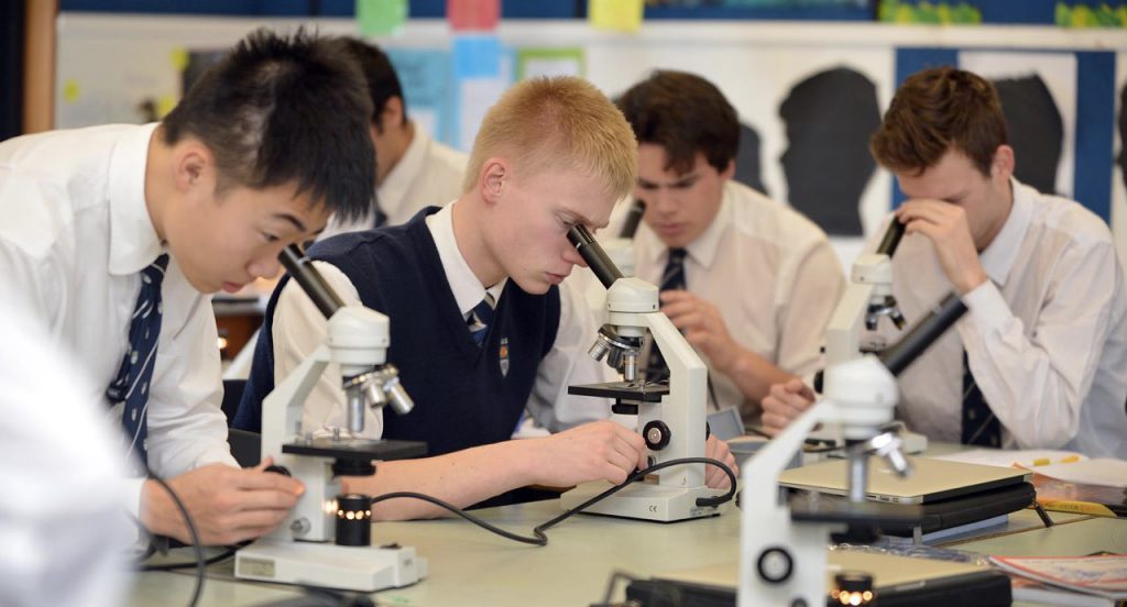 Studynz Obhs Primary 4